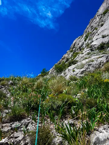Ljetna bura · P2