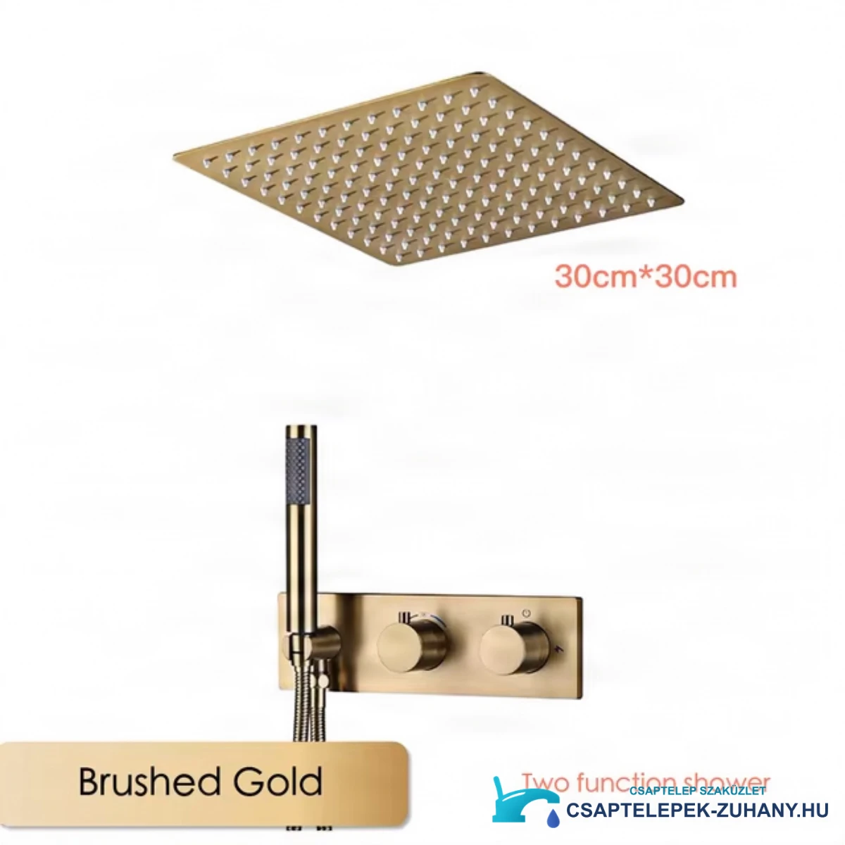 Concealed-shower-system-ELITE-EDITION-BCS1499–30