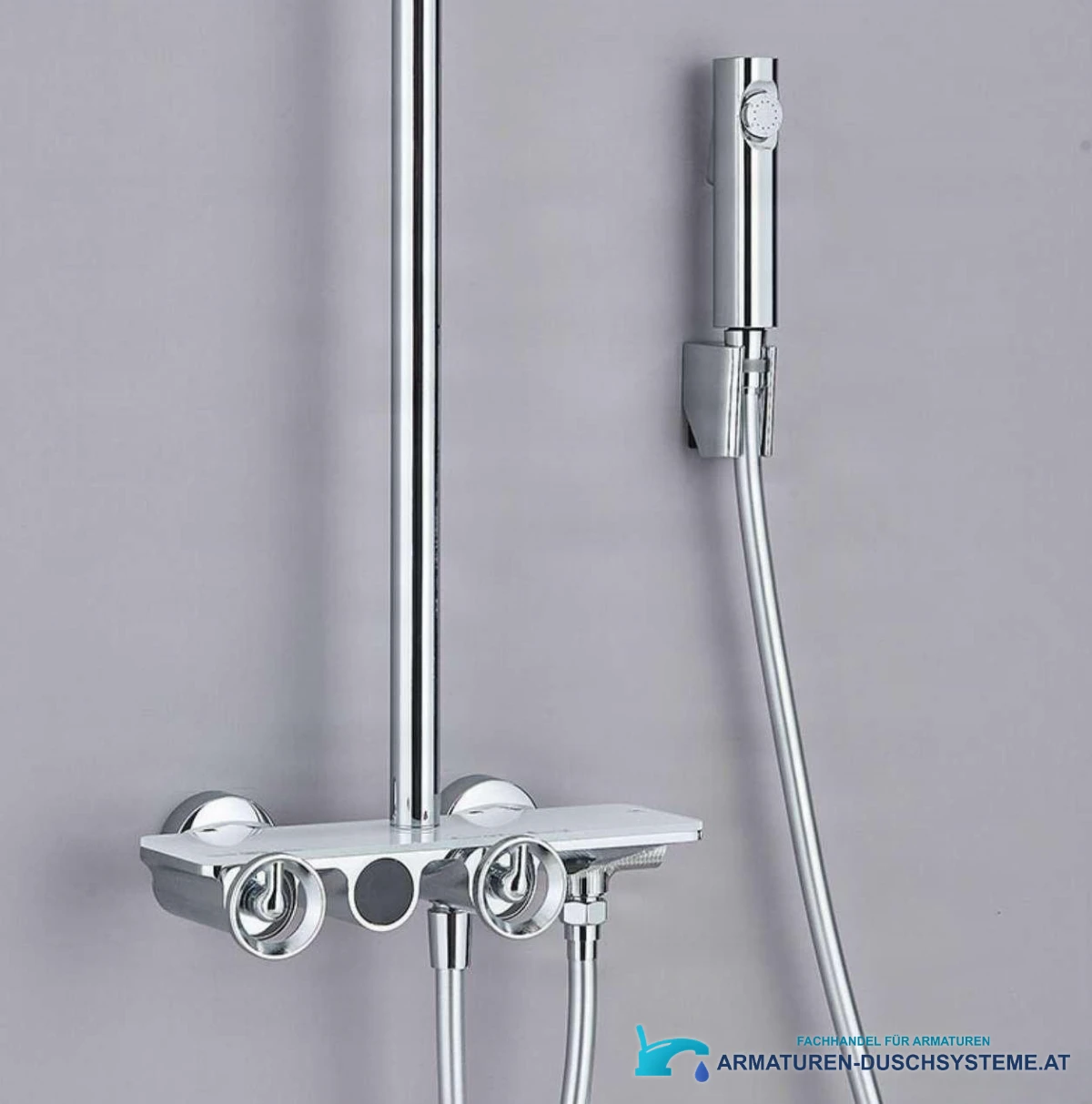 Detail Bidetbrause und Armatur Thermostat-Duschsystem ELT1104