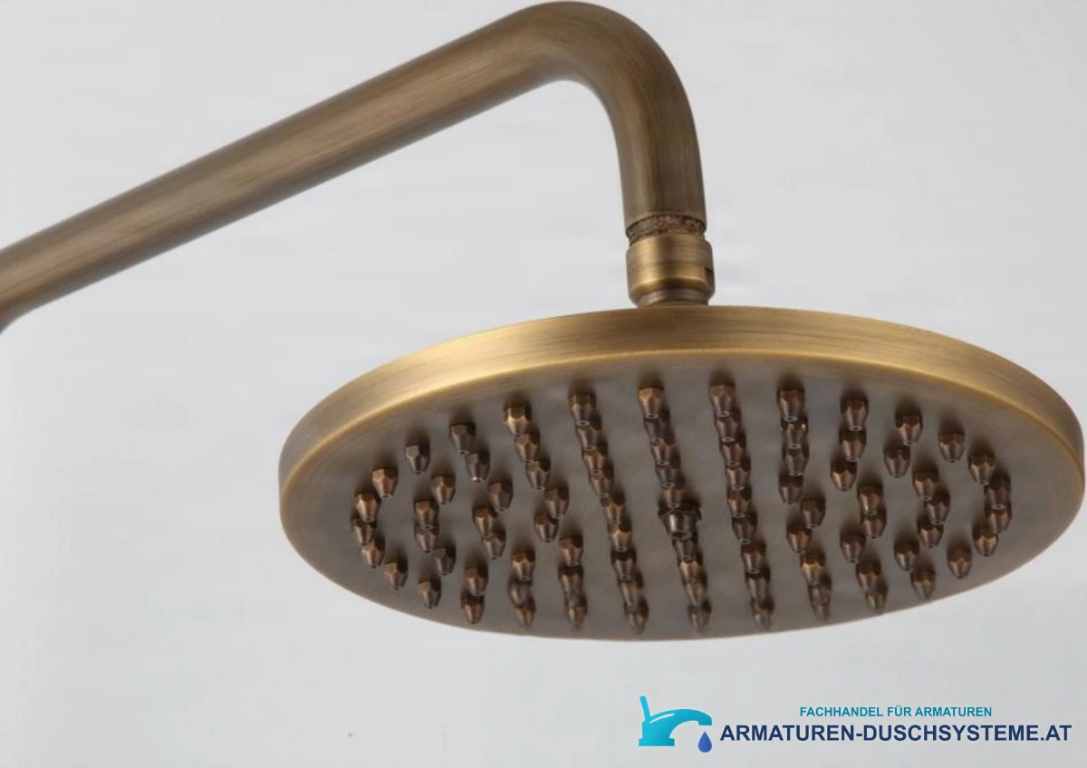 Detail der runden Kopfbrause des Duschsystems im Vintage-Stil NSB76437