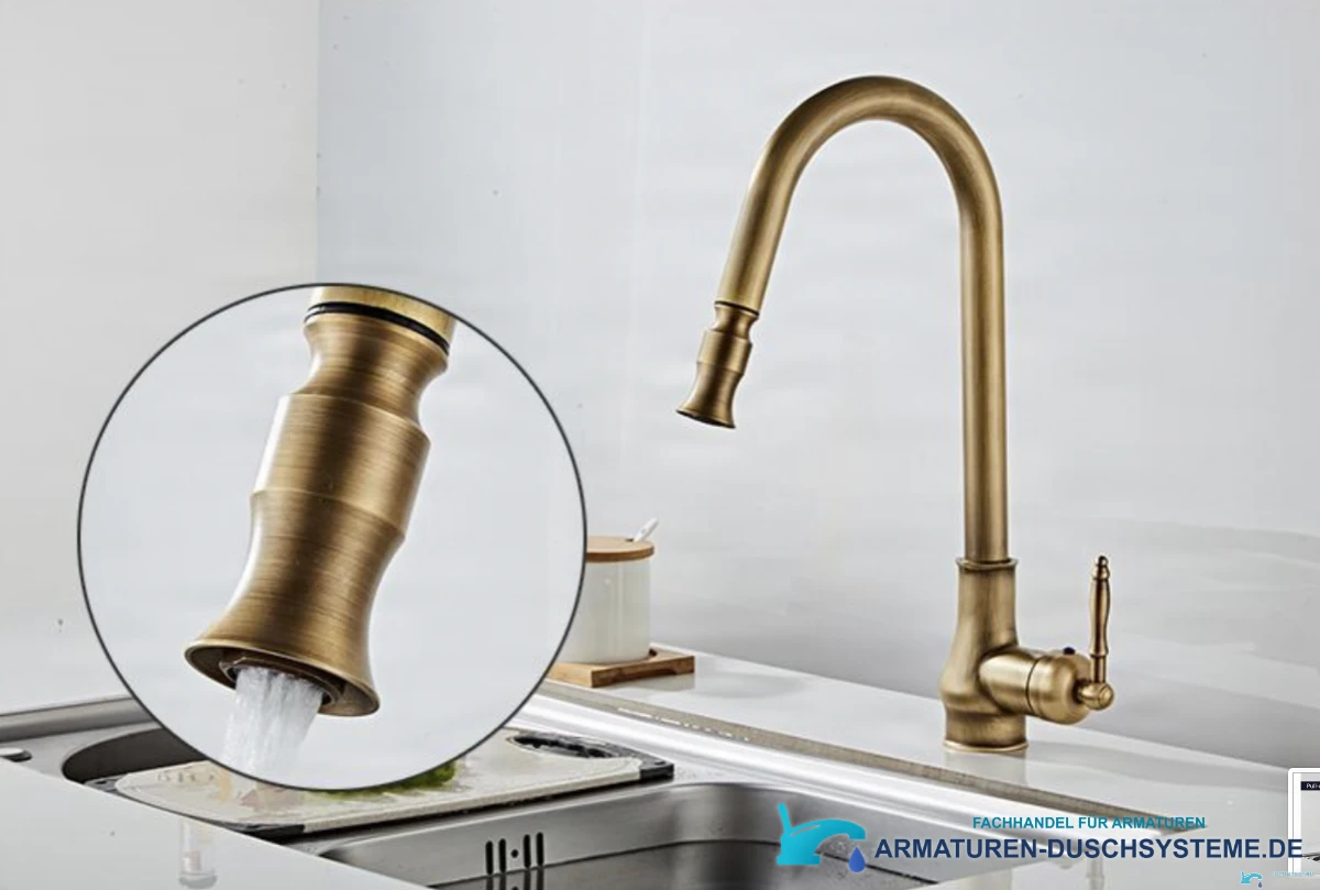 Detail des Brausekopfs der antiken Küchenarmatur EYN AQ1343