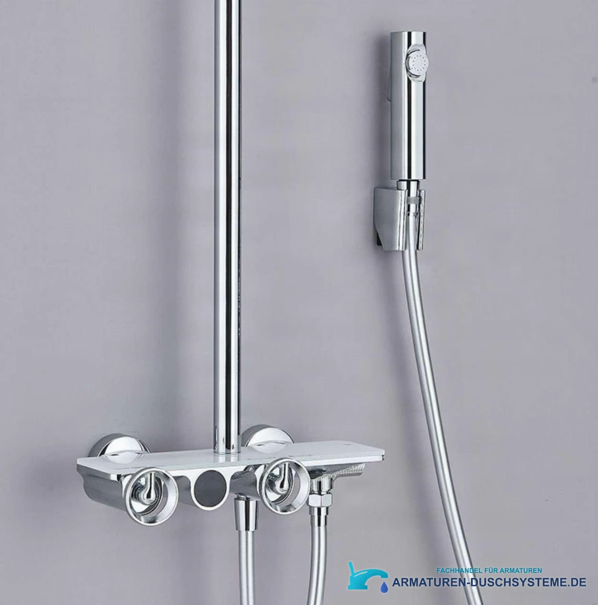 Detail Bidetbrause und Armatur Thermostat-Duschsystem ELT1104
