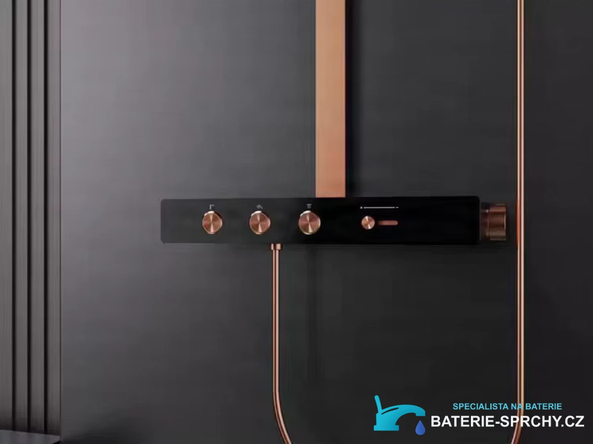 Detail předního ovládacího panelu sprchy ELITE EDITION BSW1727